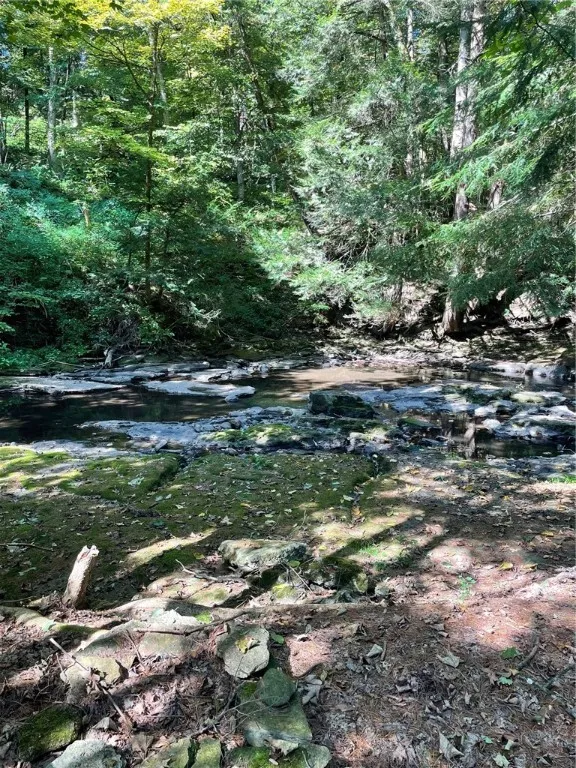 117 Hillabrandt Road, St Johnsville, New York 1345, St Johnsville, New York 13452, 1 Room Rooms,1 BathroomBathrooms,Residential,For Sale,117 Hillabrandt Road, St Johnsville, New York 1345,0,R1638866