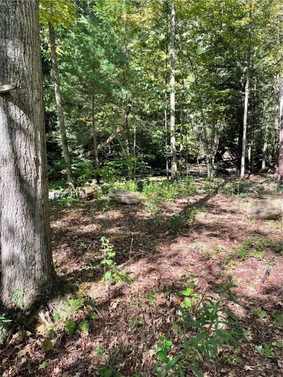 117 Hillabrandt Road, St Johnsville, New York 1345, St Johnsville, New York 13452, 1 Room Rooms,1 BathroomBathrooms,Residential,For Sale,117 Hillabrandt Road, St Johnsville, New York 1345,0,R1638866