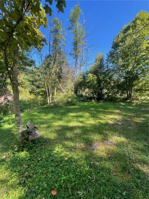 117 Hillabrandt Road, St Johnsville, New York 1345, St Johnsville, New York 13452, 1 Room Rooms,1 BathroomBathrooms,Residential,For Sale,117 Hillabrandt Road, St Johnsville, New York 1345,0,R1638866