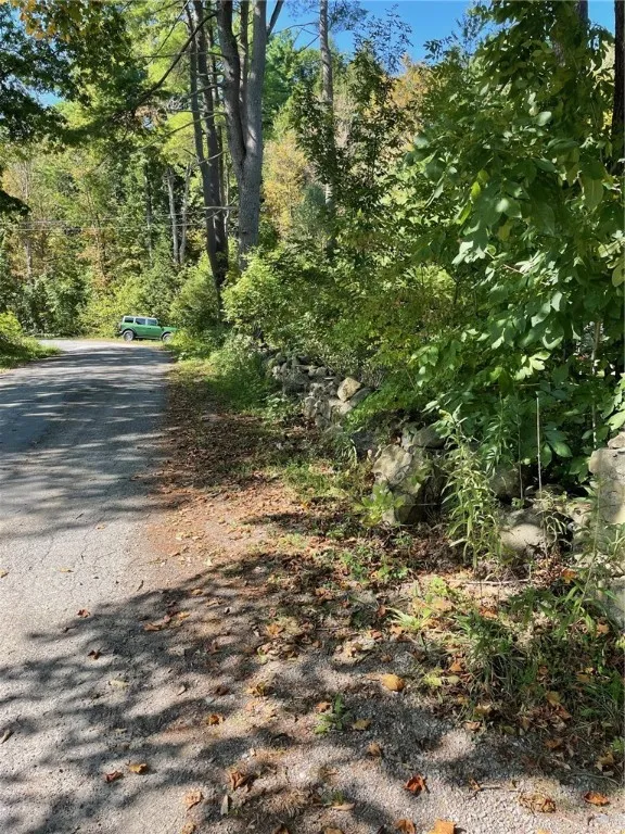 117 Hillabrandt Road, St Johnsville, New York 1345, St Johnsville, New York 13452, 1 Room Rooms,1 BathroomBathrooms,Residential,For Sale,117 Hillabrandt Road, St Johnsville, New York 1345,0,R1638866