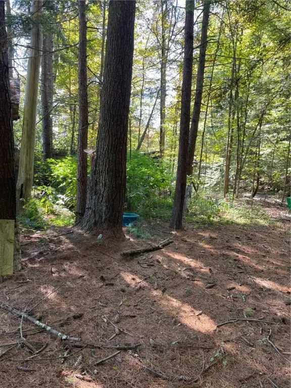 117 Hillabrandt Road, St Johnsville, New York 1345, St Johnsville, New York 13452, 1 Room Rooms,1 BathroomBathrooms,Residential,For Sale,117 Hillabrandt Road, St Johnsville, New York 1345,0,R1638866