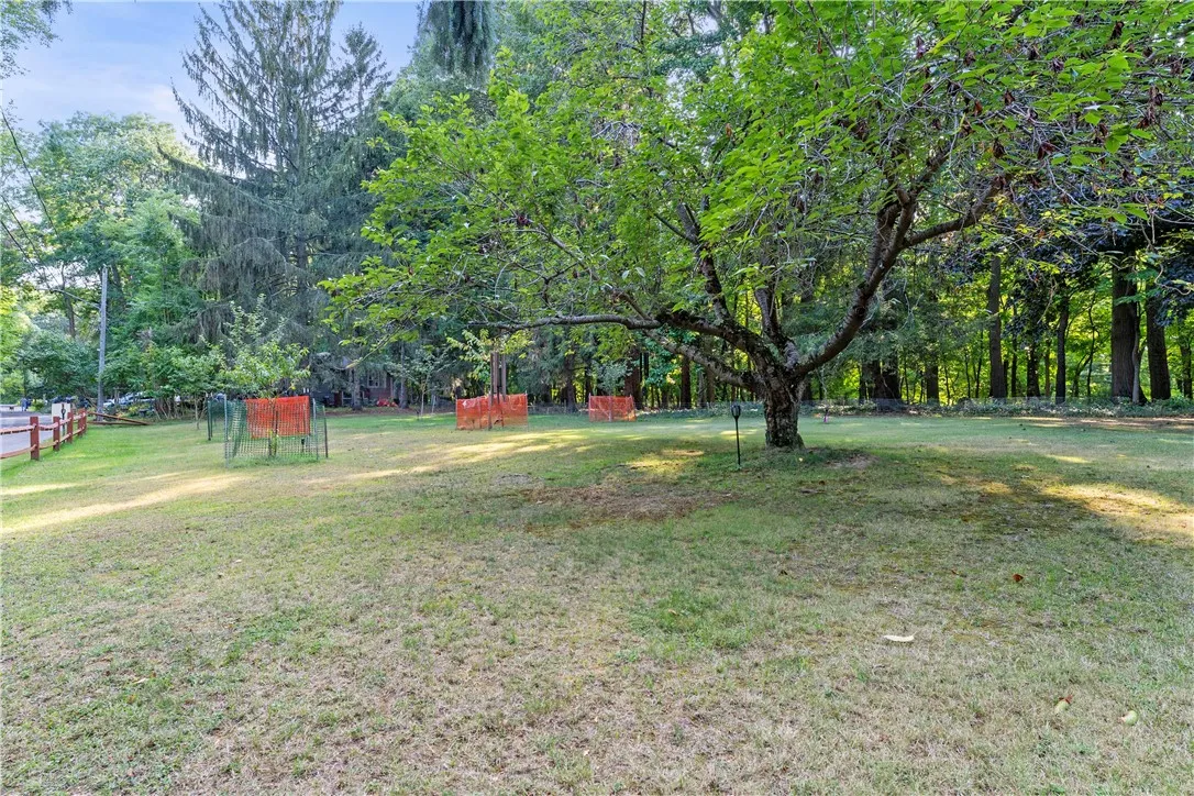 Side yard with fruit trees and space that creates privacy