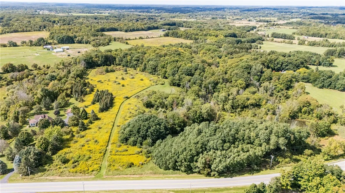 0 County Rd 35, West Bloomfield, New York 14469, West Bloomfield, New York 14469, ,Land,For Sale,0 County Rd 35, West Bloomfield, New York 14469,0,R1638847