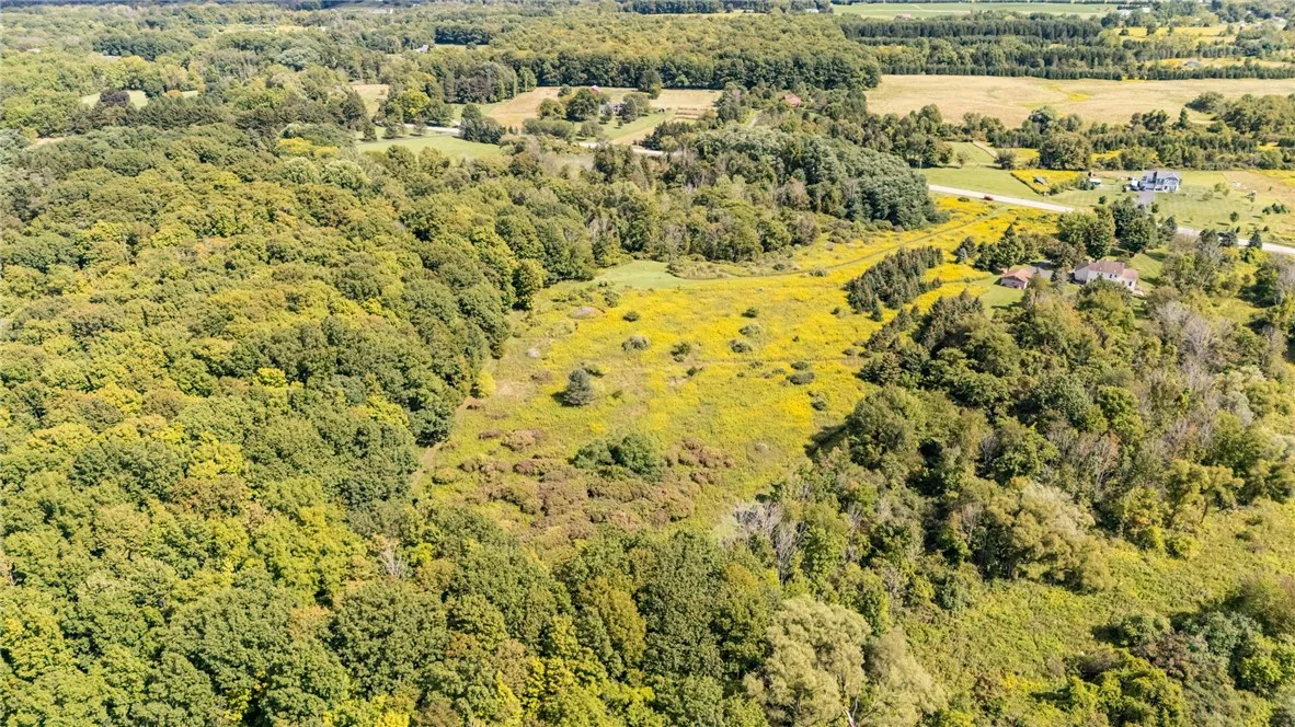 0 County Rd 35, West Bloomfield, New York 14469, West Bloomfield, New York 14469, ,Land,For Sale,0 County Rd 35, West Bloomfield, New York 14469,0,R1638847
