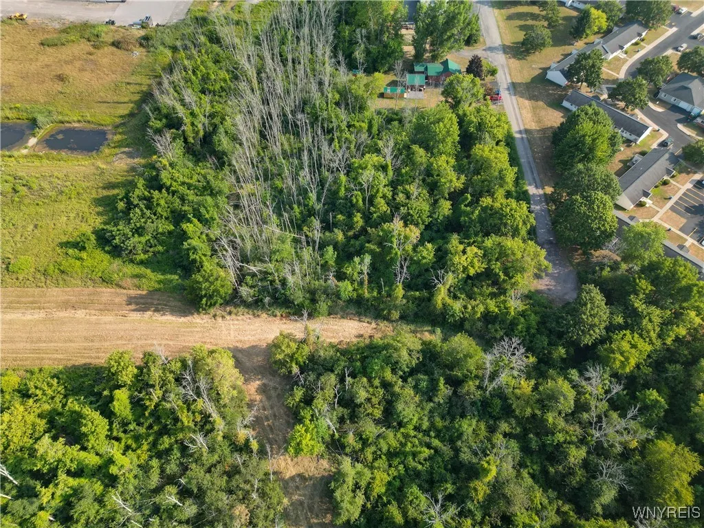Brown Avenue, Shelby, New York 14103, Shelby, New York 14103, ,Land,For Sale,Brown Avenue, Shelby, New York 14103,0,B1635468