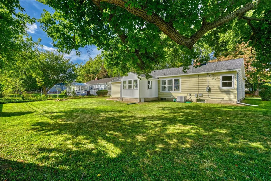Semi-private backyard framed by mature trees and fencing.