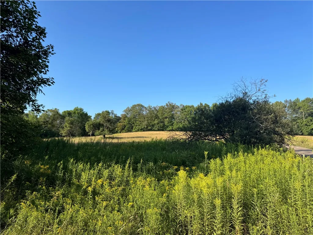 677 Frisbee Road, Kortright, New York 13757, Kortright, New York 13757, 5 Bedrooms Bedrooms, 9 Rooms Rooms,1 BathroomBathrooms,Residential,For Sale,677 Frisbee Road, Kortright, New York 13757,0,R1638286