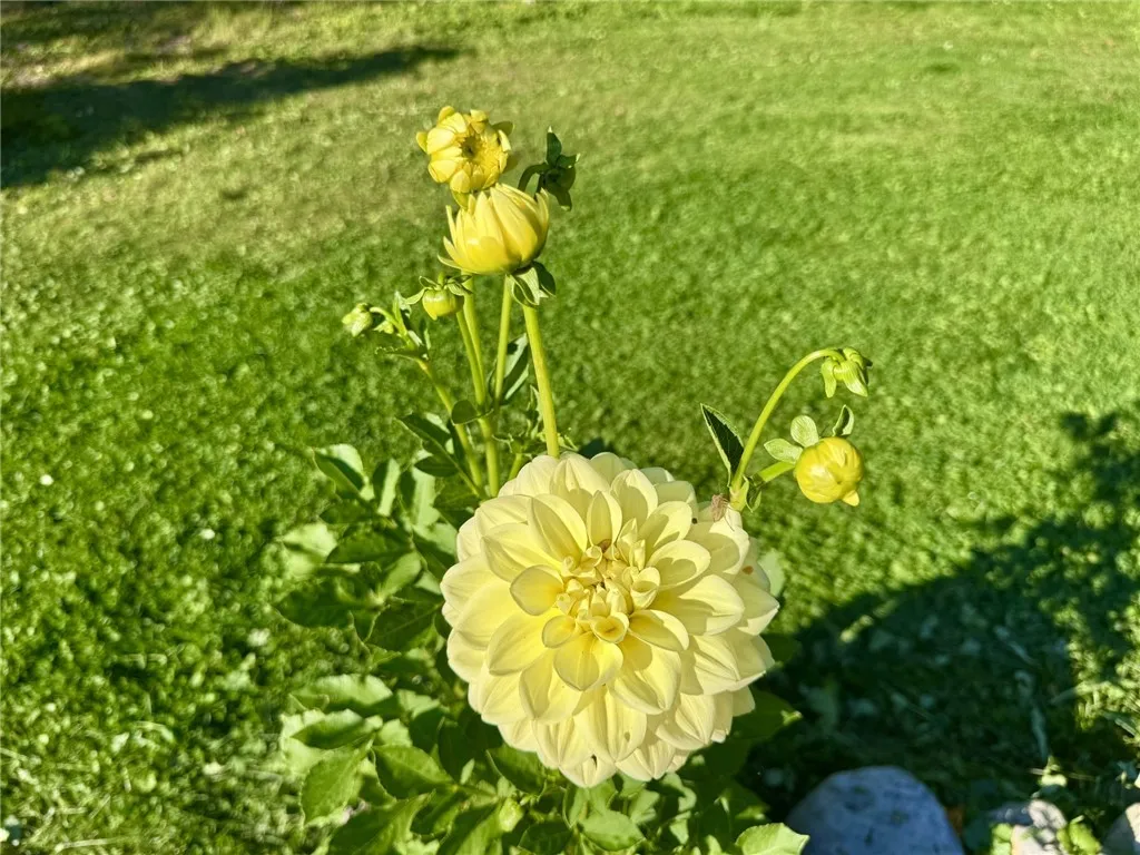 698 Mineral Springs Road, Cobleskill, New York 120, Cobleskill, New York 12043, 4 Bedrooms Bedrooms, 11 Rooms Rooms,2 BathroomsBathrooms,Residential,Closed,698 Mineral Springs Road, Cobleskill, New York 120,0,R1639144