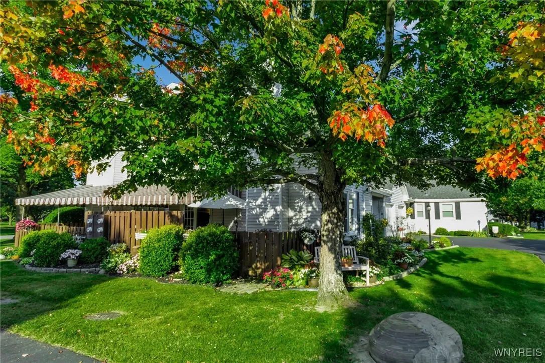 No mowing or snow removal