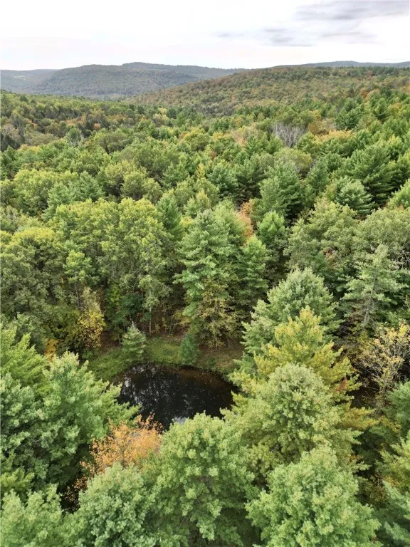 330 Tallow Hill Road, Spencer, New York 14883, Spencer, New York 14883, ,Land,For Sale,330 Tallow Hill Road, Spencer, New York 14883,0,R1639317