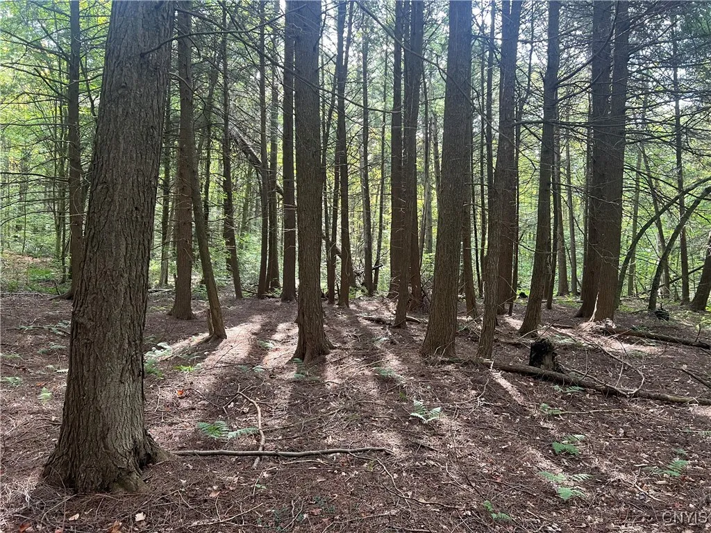 Stramba Road, Freetown, New York 13040, Freetown, New York 13040, ,Land,For Sale,Stramba Road, Freetown, New York 13040,0,S1639538
