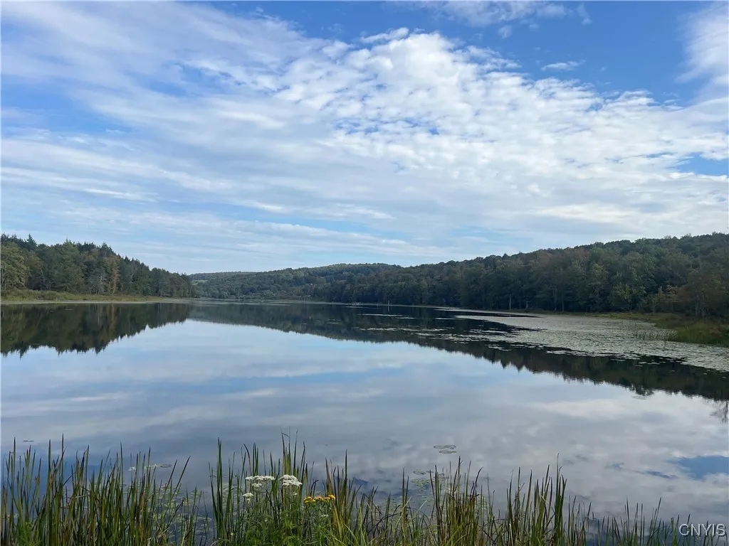 Stramba Road, Freetown, New York 13040, Freetown, New York 13040, ,Land,For Sale,Stramba Road, Freetown, New York 13040,0,S1639538
