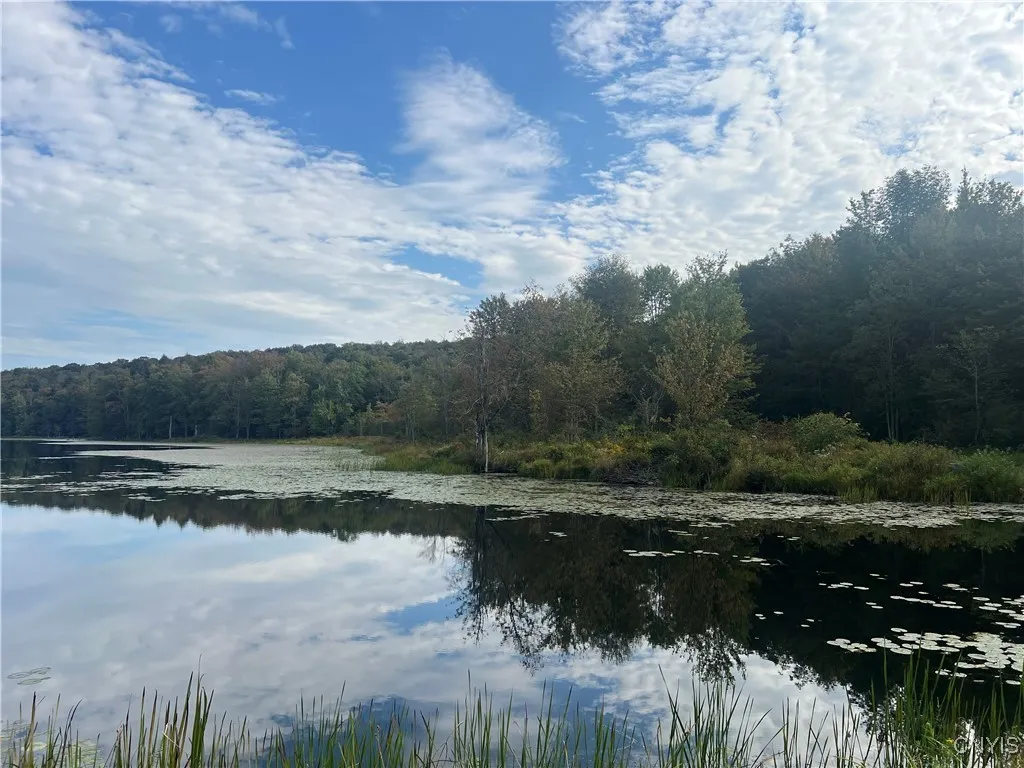 Stramba Road, Freetown, New York 13040, Freetown, New York 13040, ,Land,For Sale,Stramba Road, Freetown, New York 13040,0,S1639538
