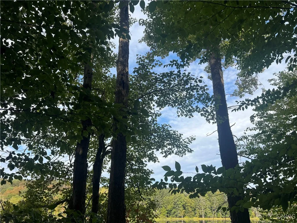Stramba Road, Freetown, New York 13040, Freetown, New York 13040, ,Land,For Sale,Stramba Road, Freetown, New York 13040,0,S1639538