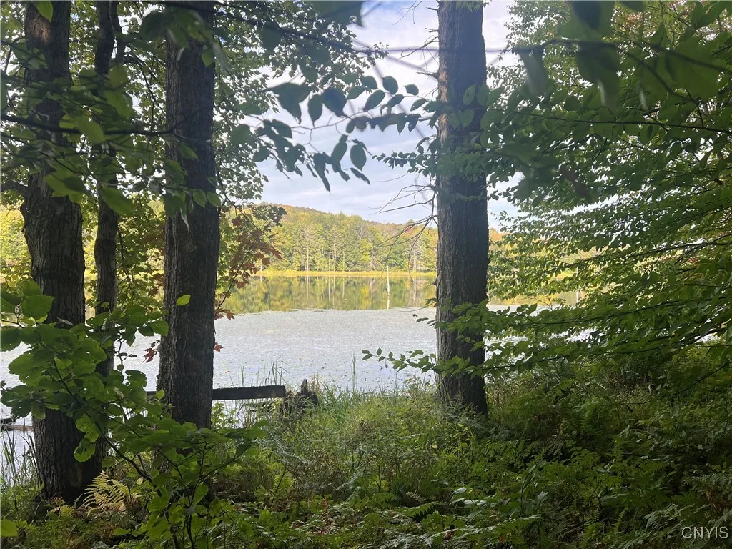 Stramba Road, Freetown, New York 13040, Freetown, New York 13040, ,Land,For Sale,Stramba Road, Freetown, New York 13040,0,S1639538
