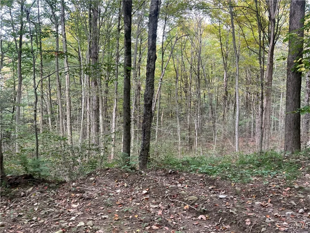 Stramba Road, Freetown, New York 13040, Freetown, New York 13040, ,Land,For Sale,Stramba Road, Freetown, New York 13040,0,S1639538