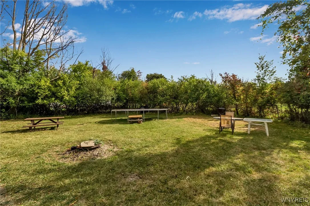 Lots of privacy in large back yard