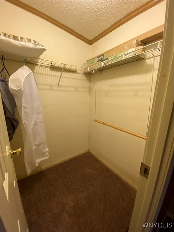 Bedroom 3 Walk-In Closet