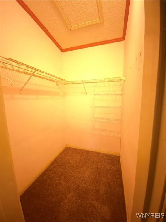 Primary Bedroom Walk- In Closet