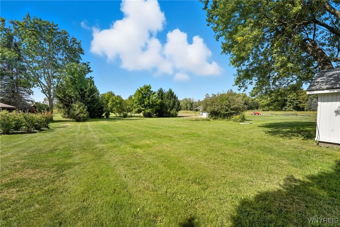 View To Rear of Property