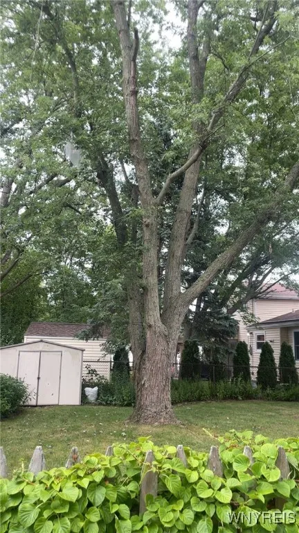 35 Tomcyn Drive, Amherst, New York 14221, Amherst, New York 14221, 4 Bedrooms Bedrooms, 7 Rooms Rooms,1 BathroomBathrooms,Residential Lease,For Rent,35 Tomcyn Drive, Amherst, New York 14221,0,B1640021