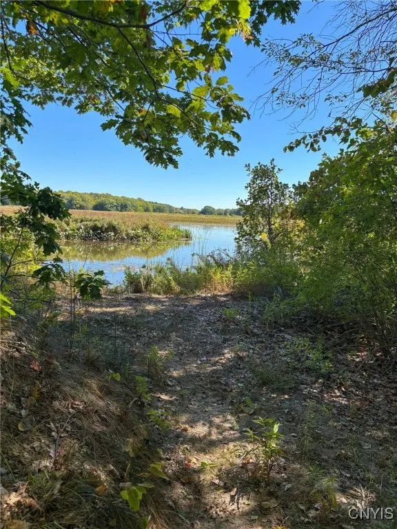 Trails along Grindstone Creek