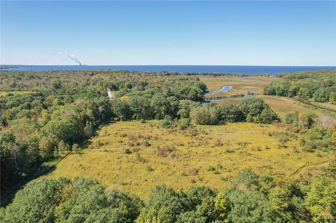 Second open field