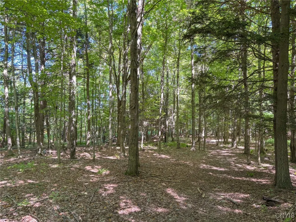 Wooded areas