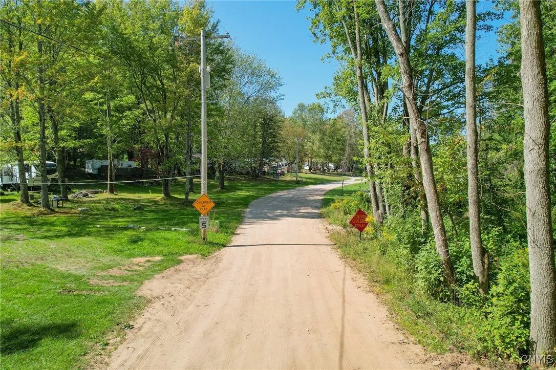 Road through park