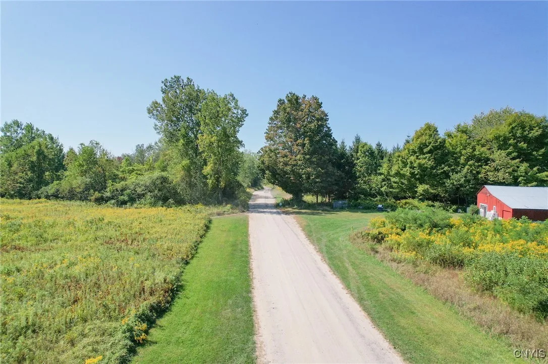 Roadway, featuring store and open field