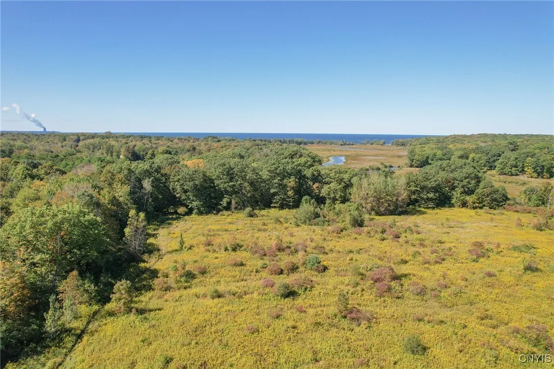 Second open field