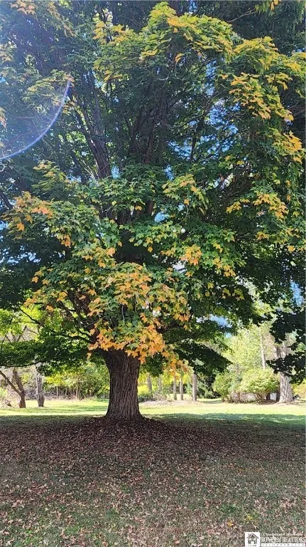 2323 Five Mile Road, Allegany, New York 14706, Allegany, New York 14706, 3 Bedrooms Bedrooms, 8 Rooms Rooms,1 BathroomBathrooms,Residential,For Sale,2323 Five Mile Road, Allegany, New York 14706,0,R1639713