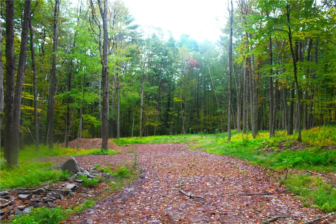 Lot 2 Evergreen Lane, Tusten, New York 12764, Tusten, New York 12764, ,Land,For Sale,Lot 2 Evergreen Lane, Tusten, New York 12764,0,R1640455