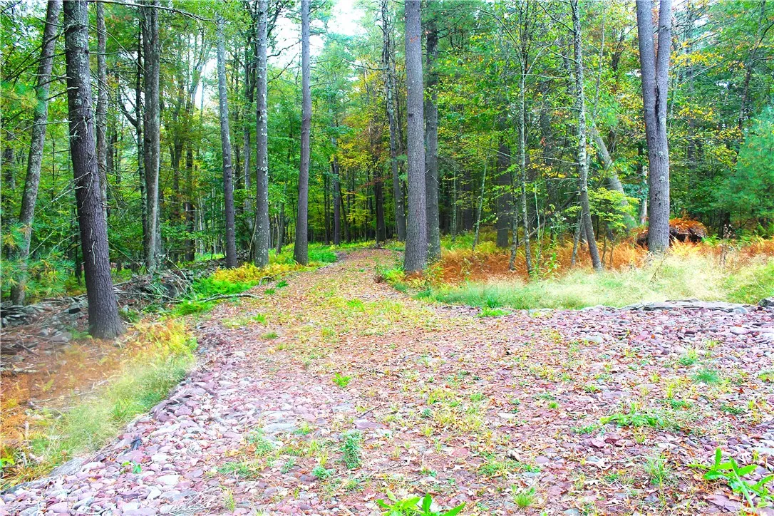 Lot 2 Evergreen Lane, Tusten, New York 12764, Tusten, New York 12764, ,Land,For Sale,Lot 2 Evergreen Lane, Tusten, New York 12764,0,R1640455
