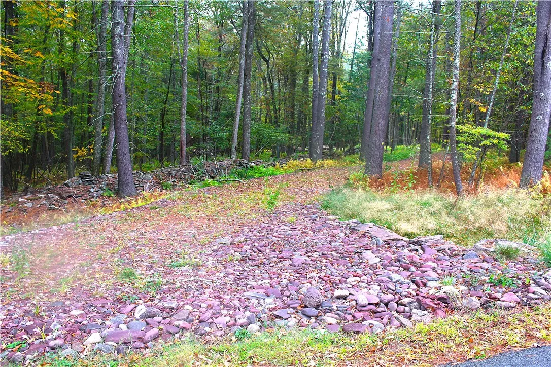 Lot 2 Evergreen Lane, Tusten, New York 12764, Tusten, New York 12764, ,Land,For Sale,Lot 2 Evergreen Lane, Tusten, New York 12764,0,R1640455