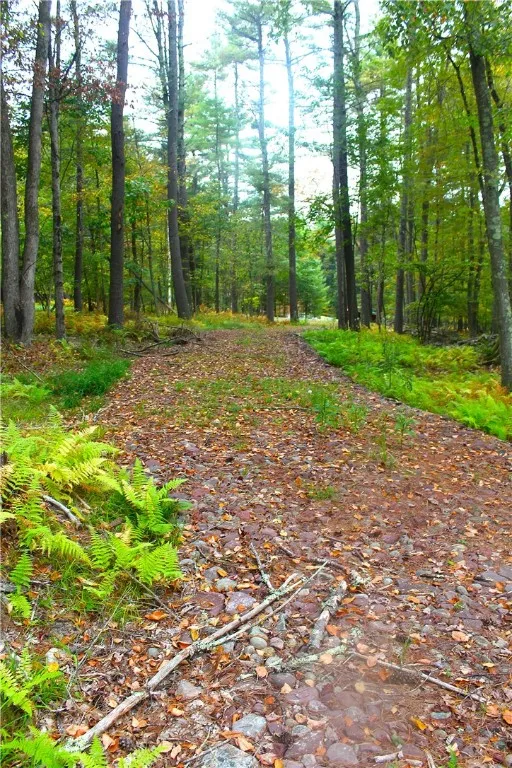 Lot 2 Evergreen Lane, Tusten, New York 12764, Tusten, New York 12764, ,Land,For Sale,Lot 2 Evergreen Lane, Tusten, New York 12764,0,R1640455