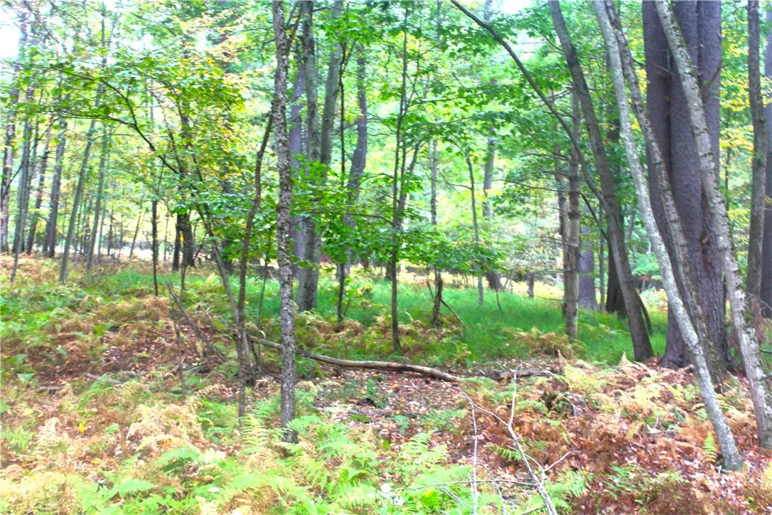 Lot 2 Evergreen Lane, Tusten, New York 12764, Tusten, New York 12764, ,Land,For Sale,Lot 2 Evergreen Lane, Tusten, New York 12764,0,R1640455