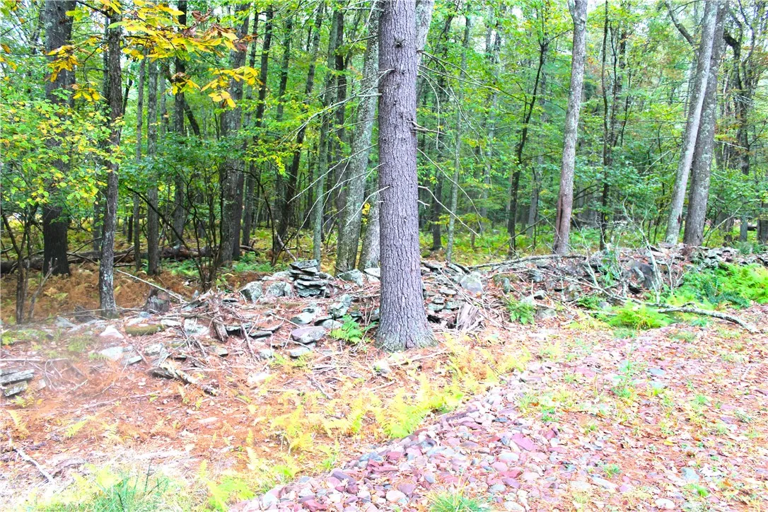 Lot 2 Evergreen Lane, Tusten, New York 12764, Tusten, New York 12764, ,Land,For Sale,Lot 2 Evergreen Lane, Tusten, New York 12764,0,R1640455