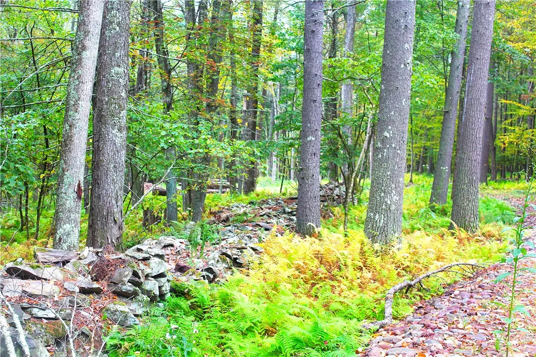 Lot 2 Evergreen Lane, Tusten, New York 12764, Tusten, New York 12764, ,Land,For Sale,Lot 2 Evergreen Lane, Tusten, New York 12764,0,R1640455
