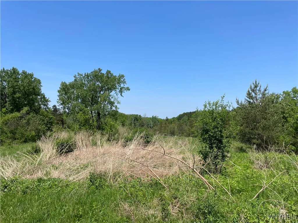 1650 & 1630 Southwestern Boulevard, West Senec, West Seneca, New York 14224, ,Commercial Sale,For Sale,1650 & 1630 Southwestern Boulevard, West Senec,0,B1640470