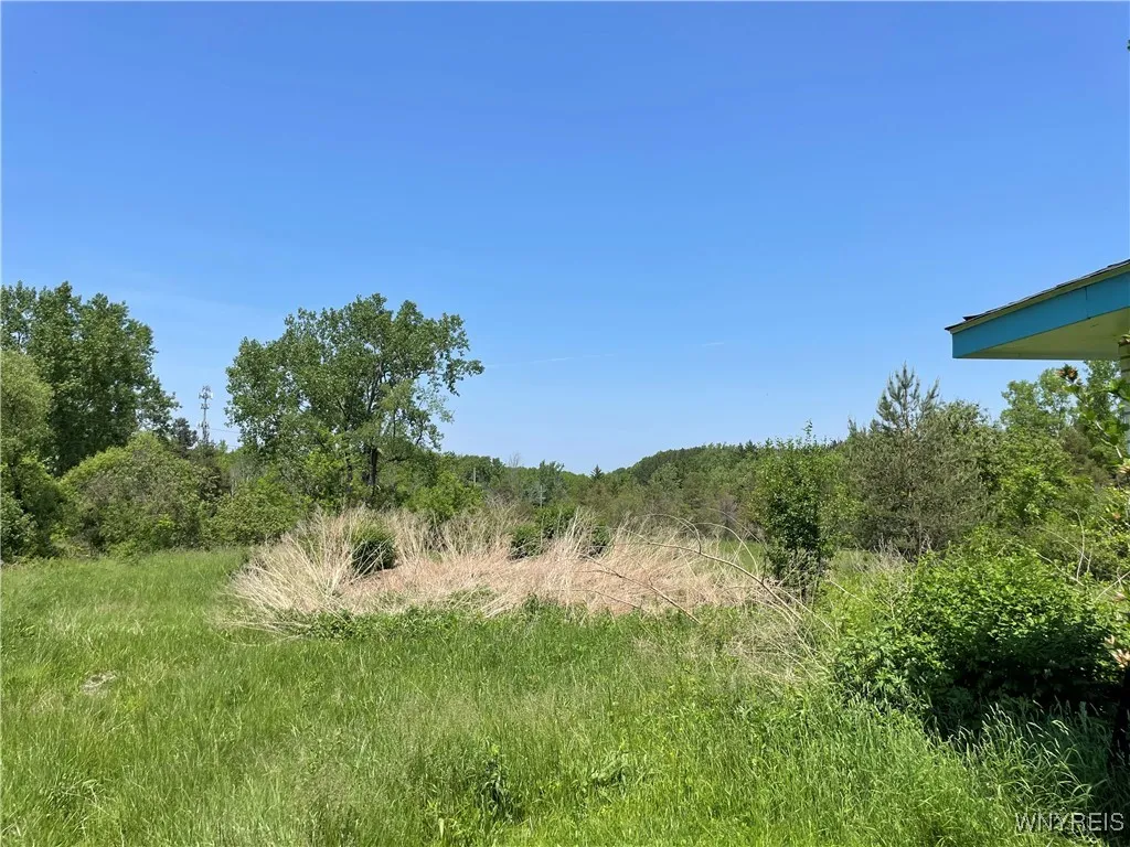 1650 & 1630 Southwestern Boulevard, West Senec, West Seneca, New York 14224, ,Commercial Sale,For Sale,1650 & 1630 Southwestern Boulevard, West Senec,0,B1640470