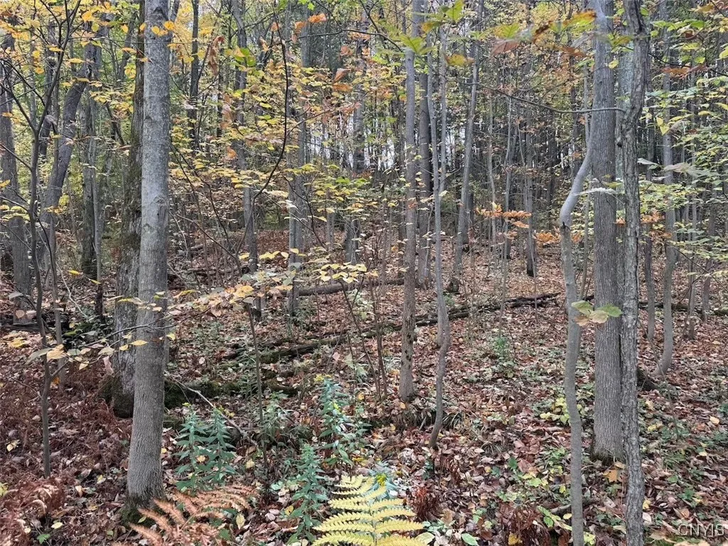 Sherlock Hollow Road, Hinsdale, New York 14743, Hinsdale, New York 14743, ,Land,For Sale,Sherlock Hollow Road, Hinsdale, New York 14743,0,S1640515