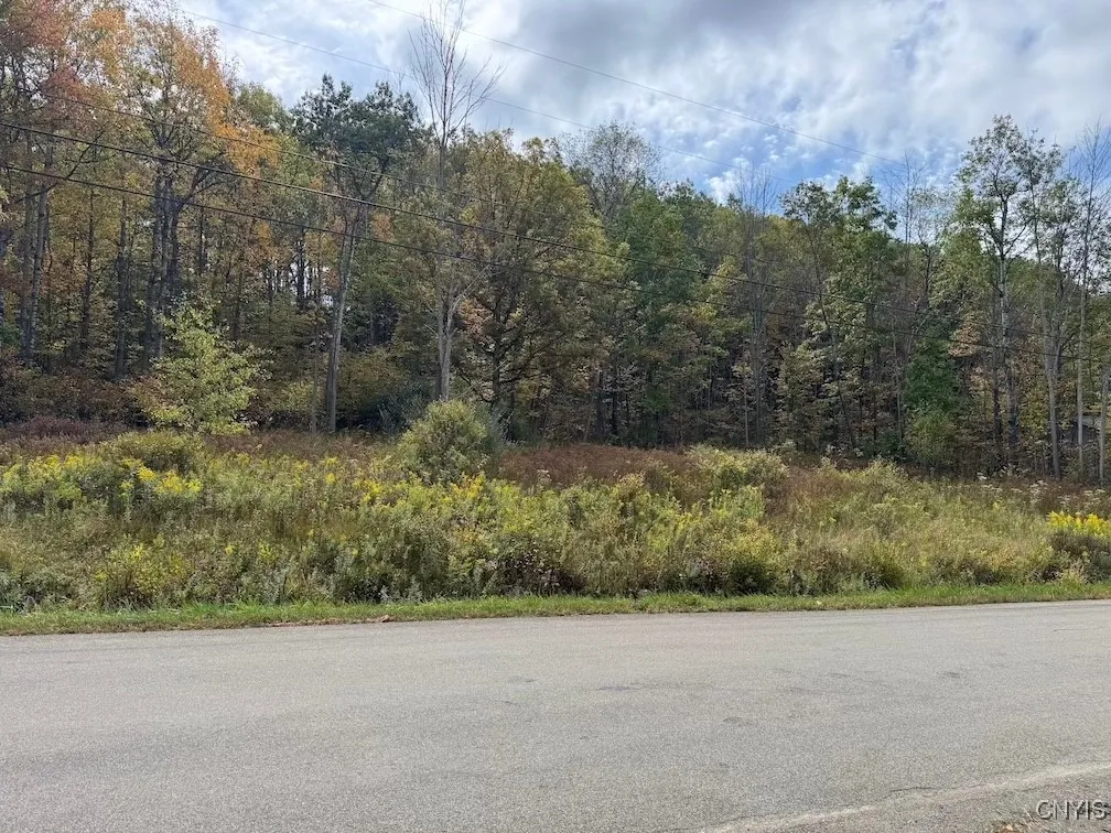 Sherlock Hollow Road, Hinsdale, New York 14743, Hinsdale, New York 14743, ,Land,For Sale,Sherlock Hollow Road, Hinsdale, New York 14743,0,S1640515