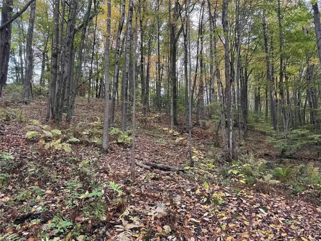 Sherlock Hollow Road, Hinsdale, New York 14743, Hinsdale, New York 14743, ,Land,For Sale,Sherlock Hollow Road, Hinsdale, New York 14743,0,S1640515