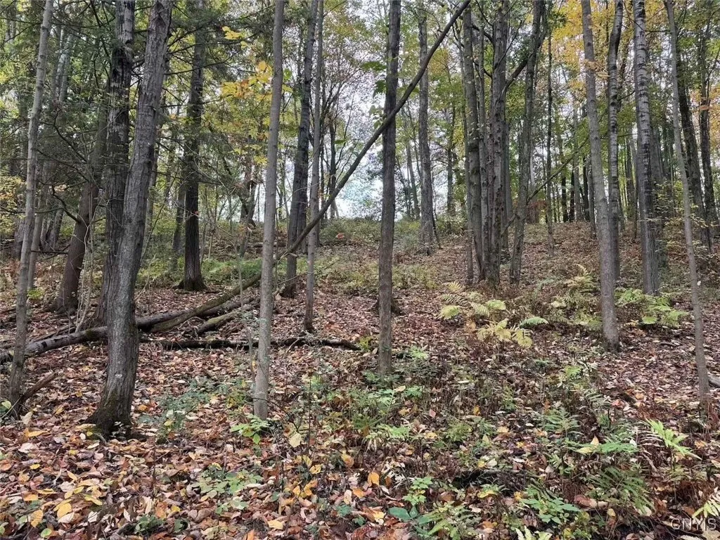 Sherlock Hollow Road, Hinsdale, New York 14743, Hinsdale, New York 14743, ,Land,For Sale,Sherlock Hollow Road, Hinsdale, New York 14743,0,S1640515