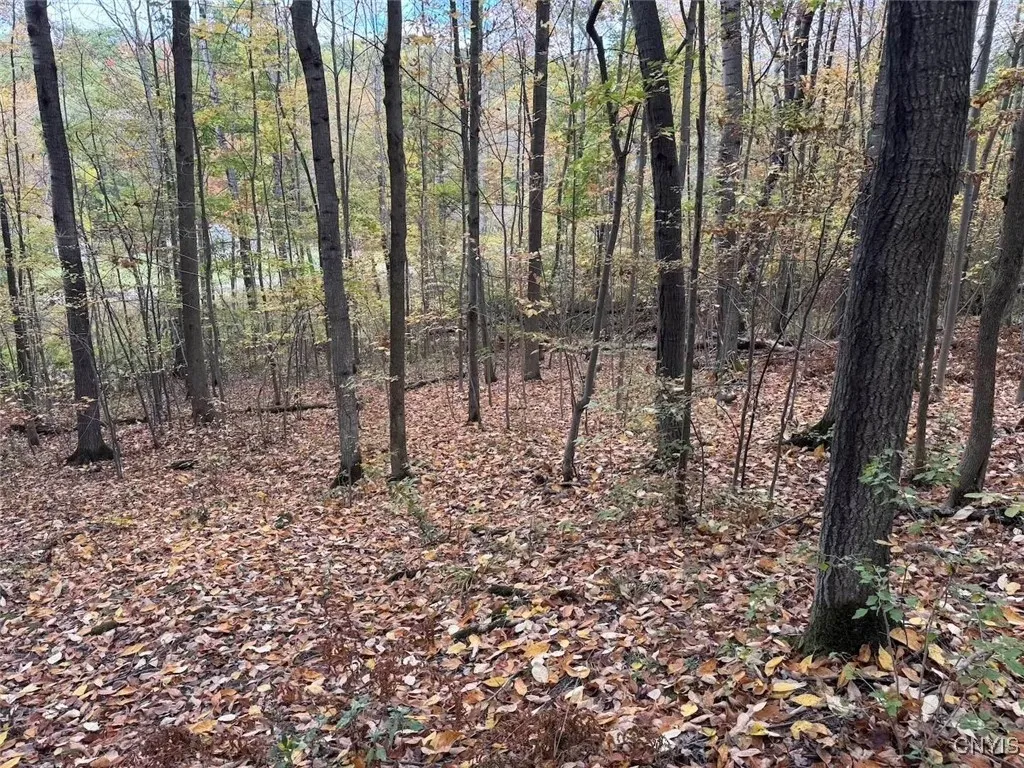 Sherlock Hollow Road, Hinsdale, New York 14743, Hinsdale, New York 14743, ,Land,For Sale,Sherlock Hollow Road, Hinsdale, New York 14743,0,S1640515