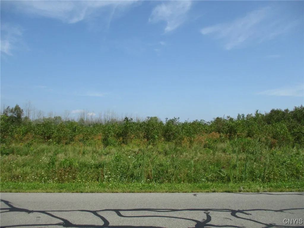 01 Hitchcock Point Road, Sullivan, New York 13037, Sullivan, New York 13037, ,Land,For Sale,01 Hitchcock Point Road, Sullivan, New York 13037,0,S1640038