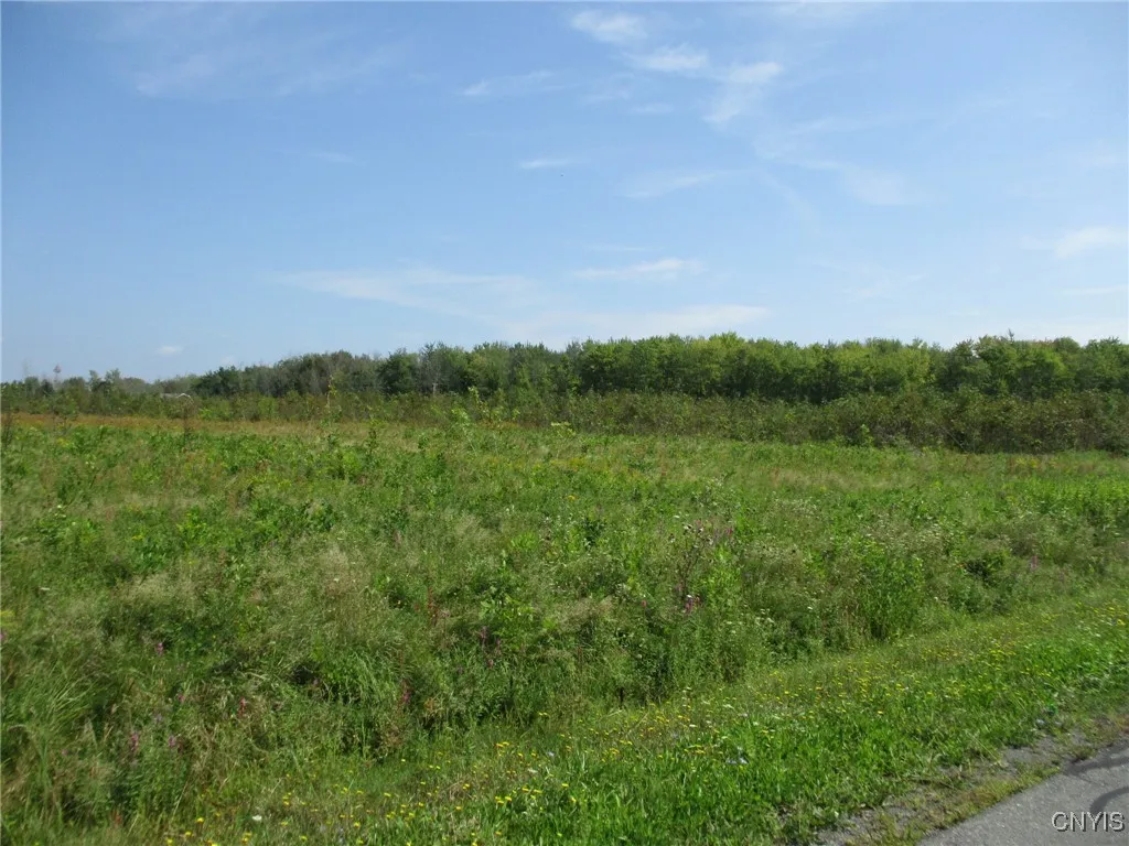01 Hitchcock Point Road, Sullivan, New York 13037, Sullivan, New York 13037, ,Land,For Sale,01 Hitchcock Point Road, Sullivan, New York 13037,0,S1640038