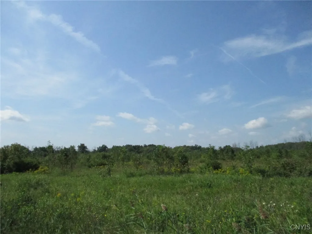 01 Hitchcock Point Road, Sullivan, New York 13037, Sullivan, New York 13037, ,Land,For Sale,01 Hitchcock Point Road, Sullivan, New York 13037,0,S1640038