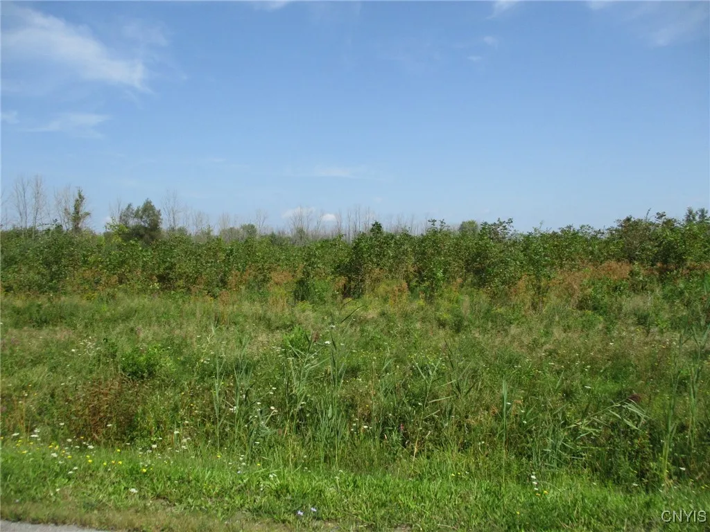 01 Hitchcock Point Road, Sullivan, New York 13037, Sullivan, New York 13037, ,Land,For Sale,01 Hitchcock Point Road, Sullivan, New York 13037,0,S1640038
